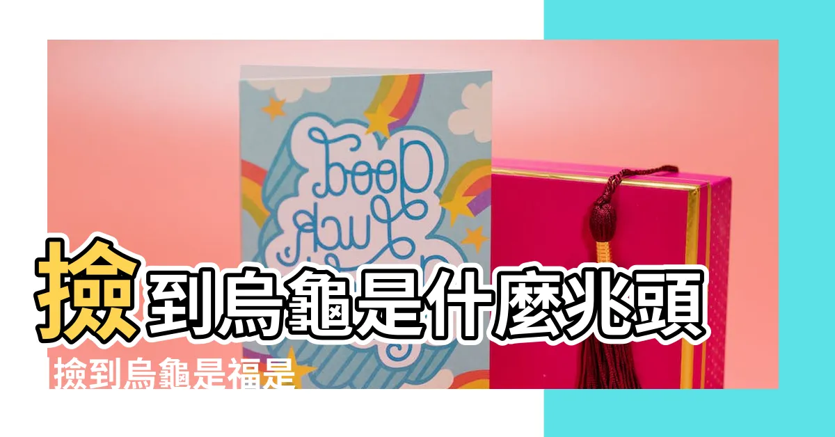 【撿到烏龜運氣】撿到烏龜是什麼兆頭 |撿到烏龜是福是禍路上撿到烏龜是吉還是兇 |撿到烏龜有什麼預兆嗎 |