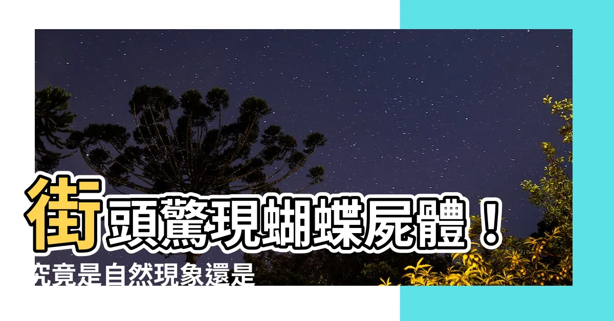【蝴蝶】街頭驚現蝴蝶屍體！究竟是自然現象還是另有原因？