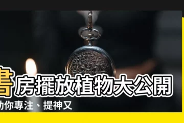 【書房植物】書房擺放植物大公開：助你專注、提神又旺財