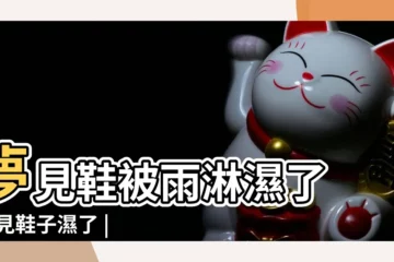 【做夢鞋子被淋濕】夢見鞋被雨淋濕了 |夢見鞋子濕了 |夢見鞋濕 |
