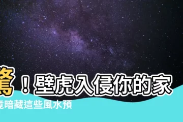 【壁虎 風水】驚！壁虎入侵你的家，竟暗藏這些風水預兆？
