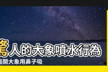 【大象噴水】驚人的大象噴水行為！揭開大象用鼻子吸水噴灑的神秘原因
