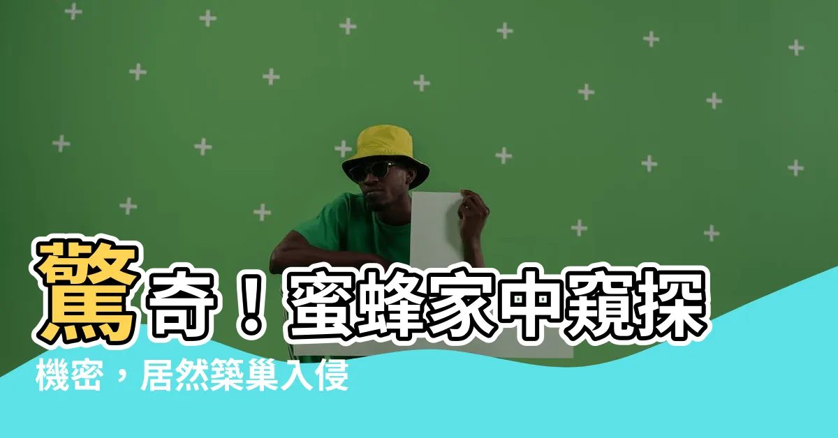 【蜜蜂家裡築巢】驚奇！蜜蜂家中窺探機密，居然築巢入侵！