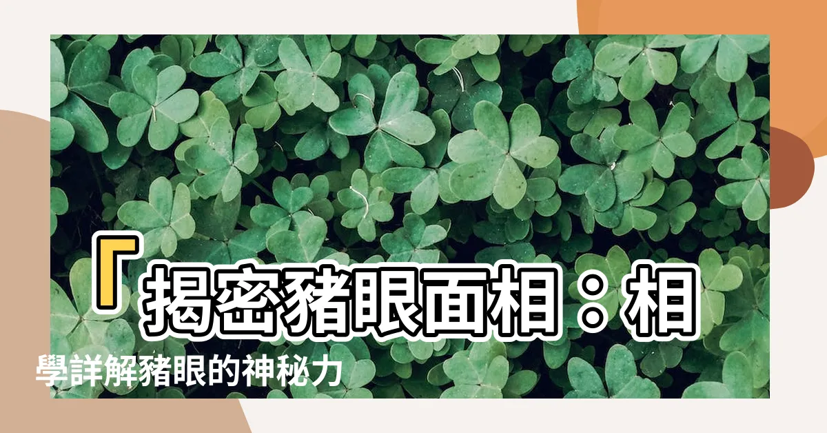 【豬眼面相】「揭密豬眼面相：相學詳解豬眼的神秘力量」