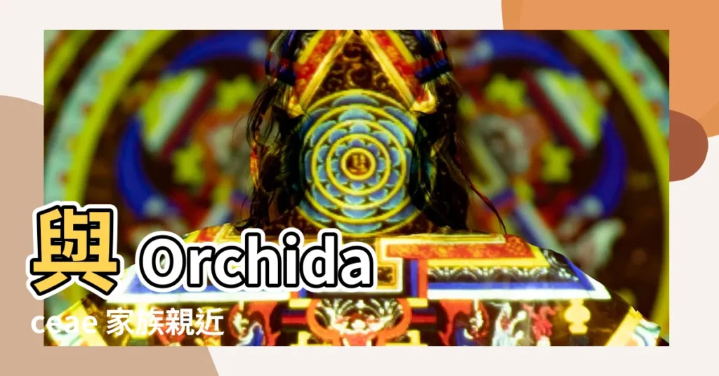 【文心蘭品種】與 Orchidaceae 家族親近，文心蘭品種大揭秘
