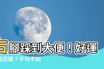 【右腳踩到大便】右腳踩到大便！好運還是厄運？不可不知的迷信解析