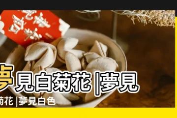 【夢見白色菊花是什麼意思】夢見白菊花 |夢見白菊花 |夢見白色菊花什麼意思 |