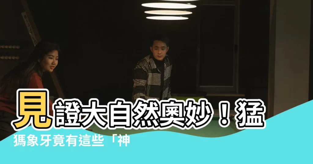 【猛瑪象牙功效】見證大自然奧妙!猛獁象牙竟有這些「神奇功效」