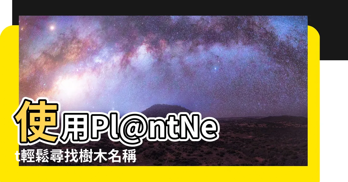 【樹名查詢】使用Pl@ntNet輕鬆尋找樹木名稱的專業查詢服務