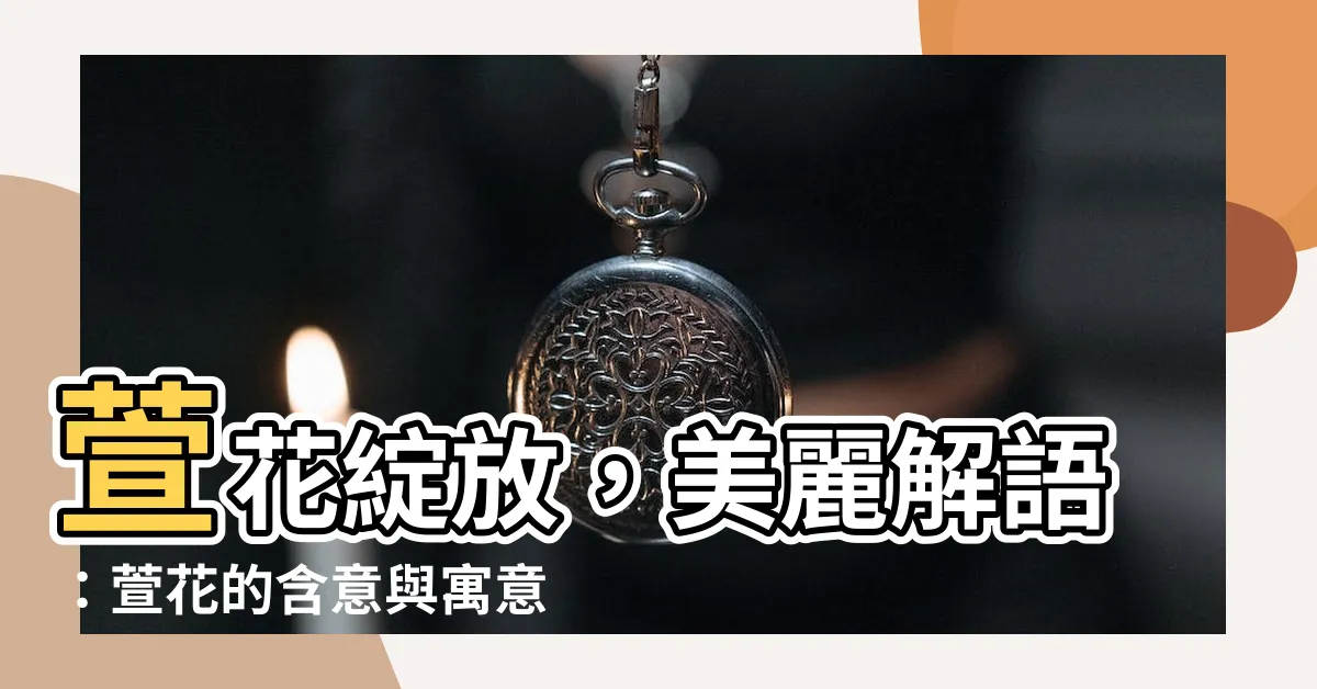 【萱 意思】萱花綻放，美麗解語：萱花的含意與寓意