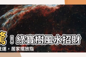 【綠寶樹風水】驚！綠寶樹風水招財又旺運，居家擺放指南一次看！