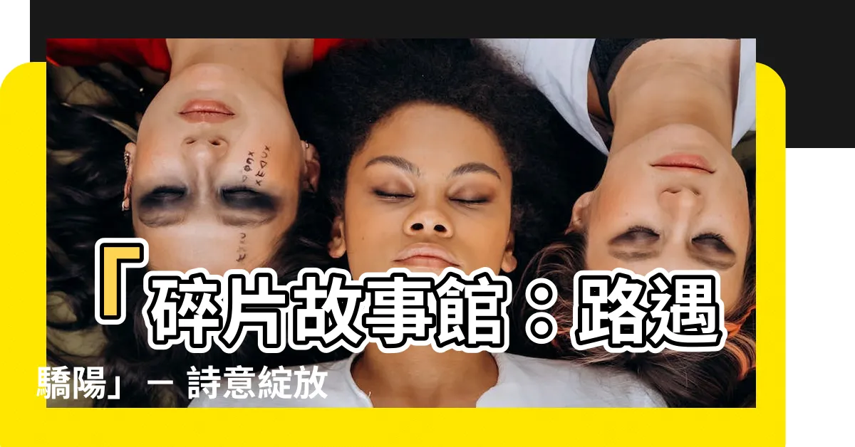 【碎片故事館 路遇驕陽】「碎片故事館：路遇驕陽」－ 詩意綻放的歷險之旅
