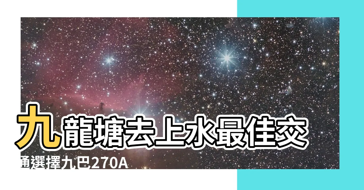 【九龍塘去上水】九龍塘去上水最佳交通選擇九巴270A線、277E線