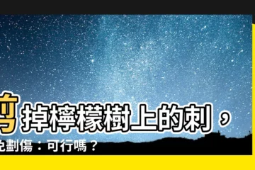 【檸檬樹的刺可以剪掉嗎】剪掉檸檬樹上的刺，避免劃傷：可行嗎？
