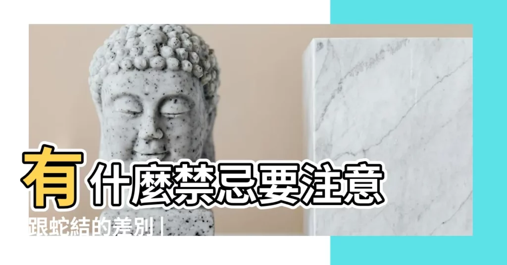 有什麼禁忌要注意 |跟蛇結的差別 |漫步經典手編極細可調蛇結蠟繩手環金剛結衝浪繩幸運繩閨蜜 |【蛇結禁忌】