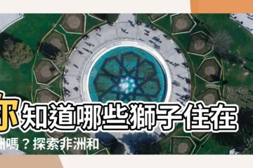 【獅子】你知道哪些獅子住在亞洲嗎？探索非洲和亞洲獅子的差異