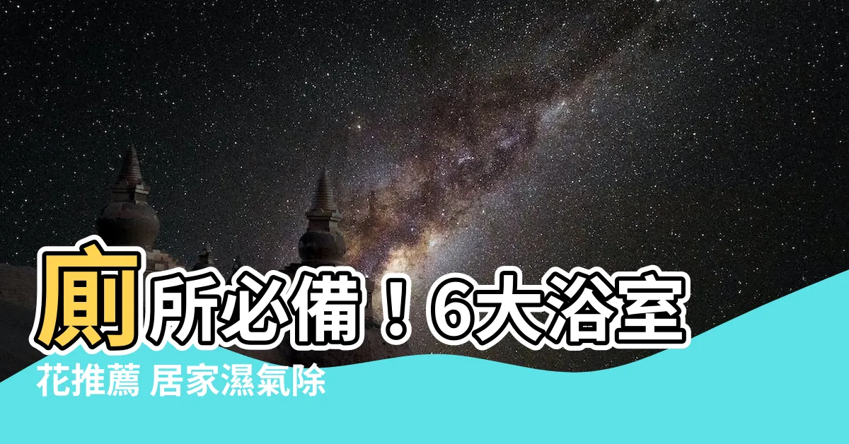 【廁所 花】廁所必備！6大浴室花推薦 居家濕氣除臭好幫手