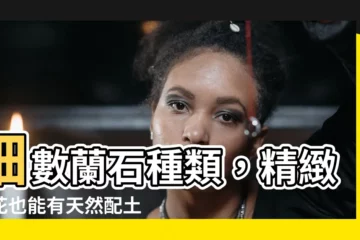 【蘭石是什麼】細數蘭石種類,精緻蘭花也能有天然配土!