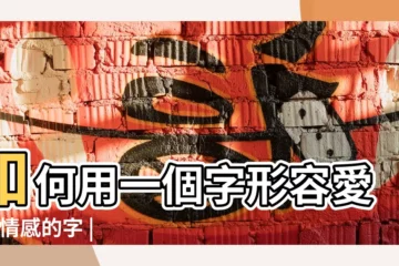 【一個字形容感情】如何用一個字形容愛情 |情感的字 |怎樣用一個字去形容對一個人的愛 |