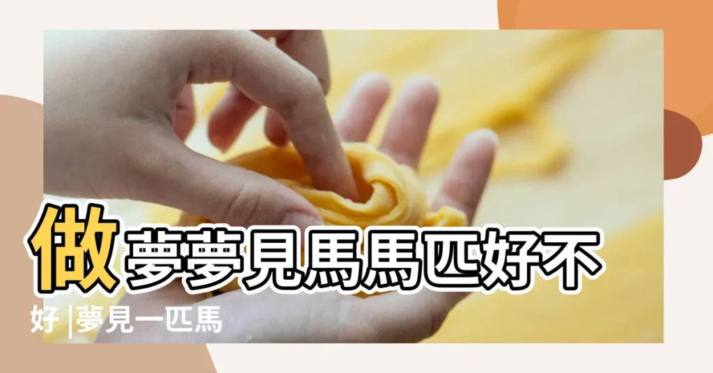 做夢夢見馬馬匹好不好 |夢見一匹馬 |夢見一匹馬是什麼意思 |【夢到一匹馬朋友】