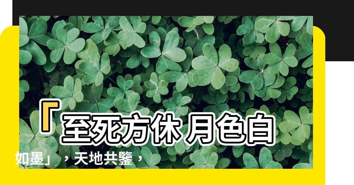 【至死方休 月色白如墨】「至死方休 月色白如墨」，天地共鑒，永恆之曙光