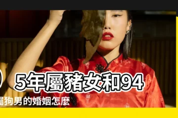 【95年屬豬94屬狗男】95年屬豬女和94年屬狗男的婚姻怎麼樣 |94屬狗人和95屬豬人相合指數 |94年屬狗男和屬豬是幾盒 |