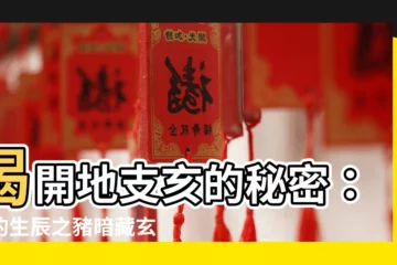 【地支亥】揭開地支亥的秘密：你的生辰之豬暗藏玄機