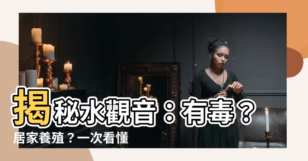 【水觀音植物】揭秘水觀音：有毒？居家養殖？一次看懂！