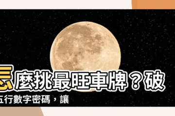 【怎麼選車牌號碼】怎麼挑最旺車牌？破解五行數字密碼，讓財庫滿滿開！
