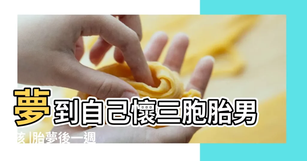 夢到自己懷三胞胎男孩 |胎夢後一週 |好孕報到 |【夢見四胞胎並討一個孩子】