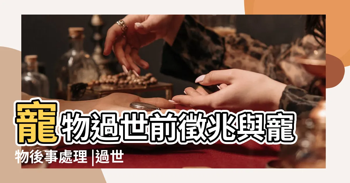 【家裡狗狗過世】寵物過世前徵兆與寵物後事處理 |過世身後事處理教學 |原來寵物火化費用會 |