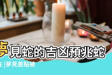 【夢見抓蛇差點被蛇咬了】夢見蛇的吉凶預兆蛇躲在 |夢見差點被蛇咬 |將會疾病纏身 |