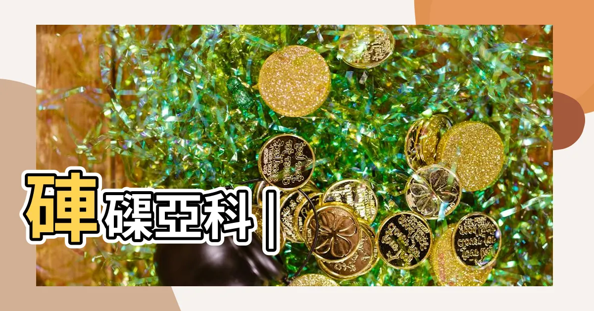 【硨磲意思】硨磲亞科 |