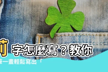 【莉 筆畫】莉 字怎麼寫？教你一筆一畫輕鬆寫出「莉」字！
