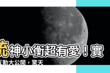 【統神 小衡】統神小衡超有愛！實況互動大公開，驚天父愛曝光