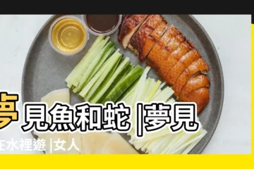 【夢見蛇在魚缸水裏遊來游去】夢見魚和蛇 |夢見蛇在水裡遊 |女人夢見蛇和魚在水中游 |
