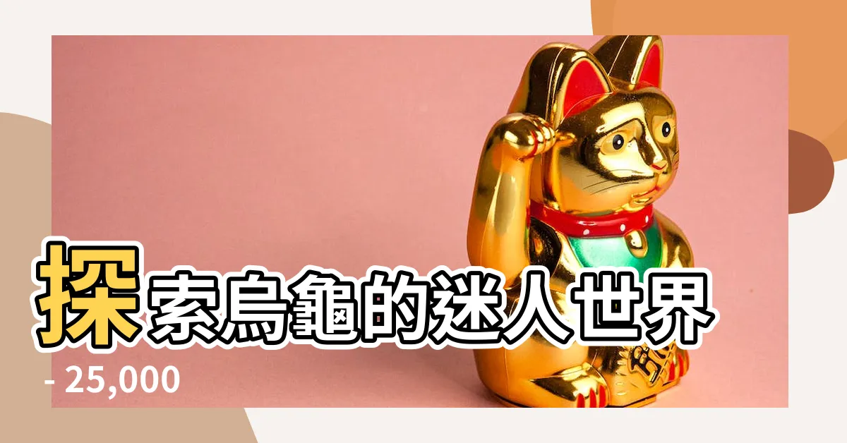 【烏龜照片】探索烏龜的迷人世界 - 25,000+ 張烏龜照片讓你驚艷