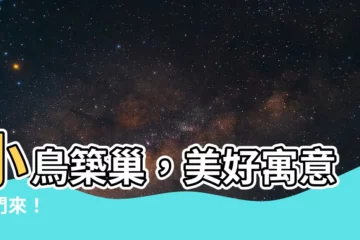【小鳥 築巢】小鳥築巢，美好寓意敲門來！