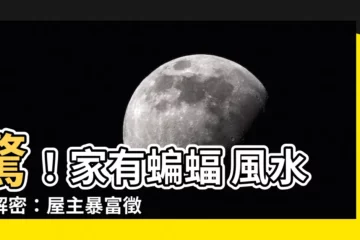 【家有蝙蝠 風水】驚！家有蝙蝠 風水大解密：屋主暴富徵兆？