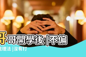 【30歲了和哥哥打架】哥哥開學後 |不偏心處理法 |沒有打架日子過得不香 |