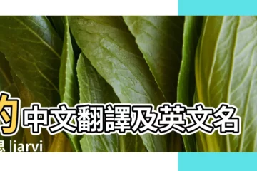 【男孩名字Jarvis的寓意】的中文翻譯及英文名意思 |jarvis |英文名Jarvis |