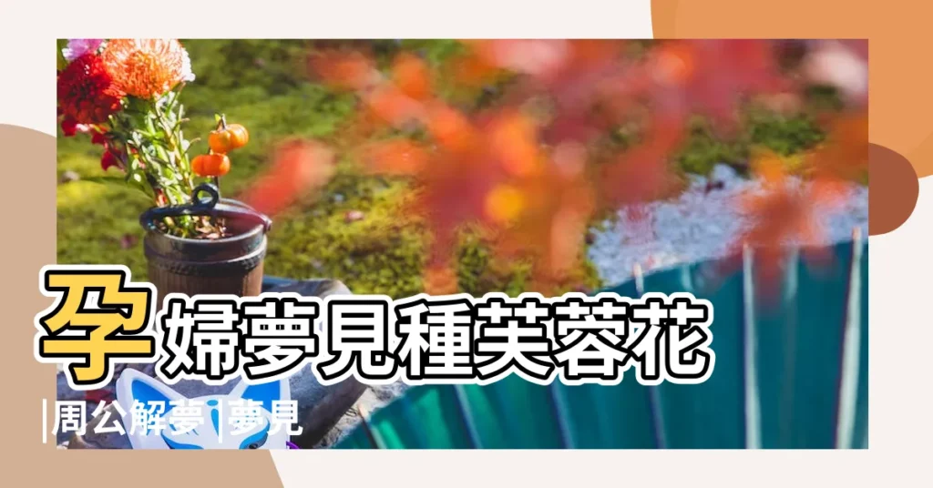 孕婦夢見種芙蓉花 |周公解夢 |夢見花開得非常漂亮 |【孕婦夢見花園裏開着好多花】