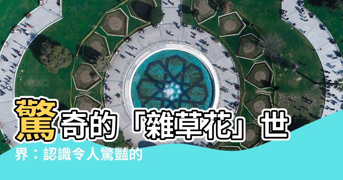 【雜草花】驚奇的「雜草花」世界：認識令人驚豔的野花