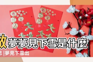 【夢到下太陽雪】做夢夢見下雪是什麼意思 |夢見下雪出太陽 |夢見在大太陽中下雪 |