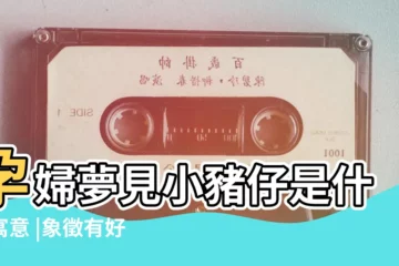【孕婦夢到生了4個小豬】孕婦夢見小豬仔是什麼寓意 |象徵有好事來臨 |孕婦夢見豬的不同夢境寓意解讀 |
