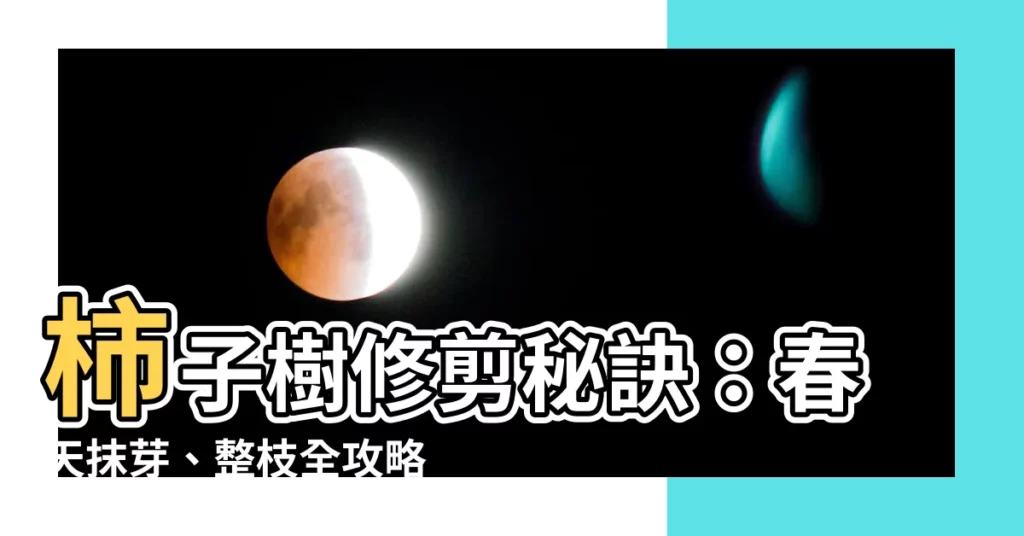 【柿子樹修剪】柿子樹修剪秘訣:春天抹芽、整枝全攻略