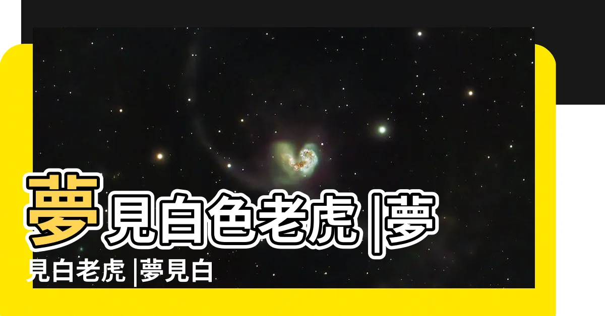 【夢到白老虎】夢見白色老虎 |夢見白老虎 |夢見白虎 |