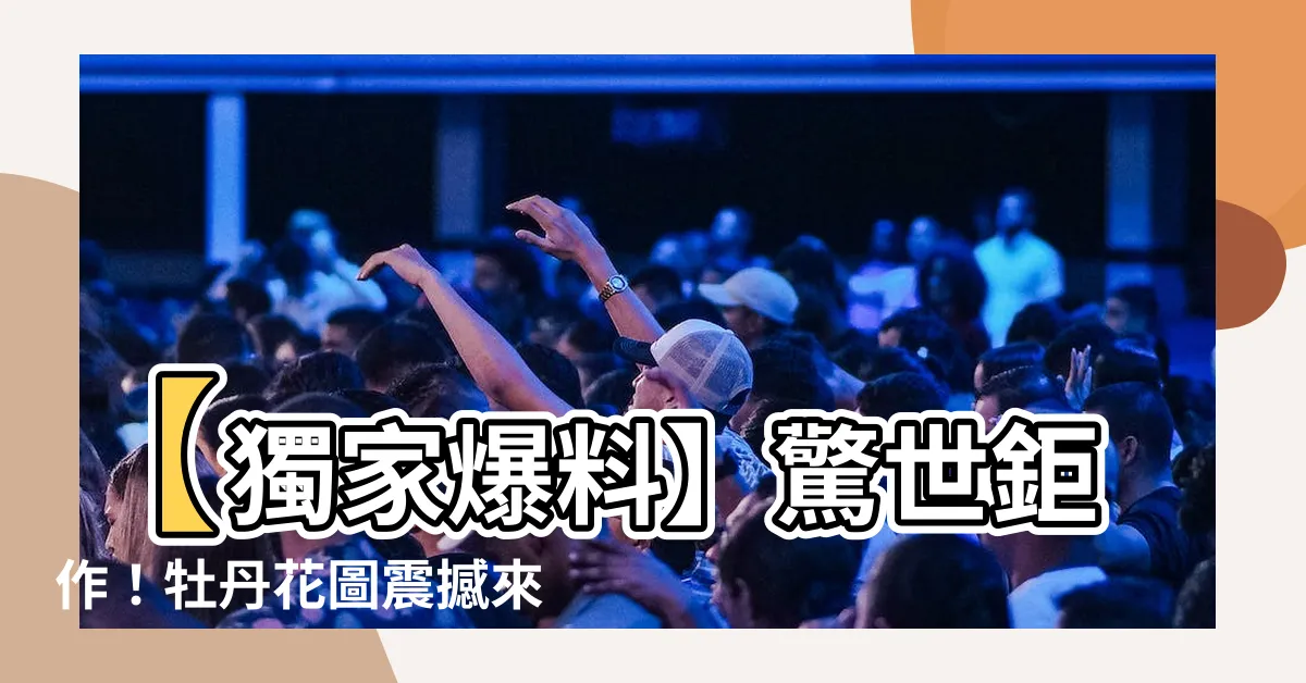 【牡丹花圖】【獨家爆料】驚世鉅作！牡丹花圖震撼來襲，美得讓人窒息！