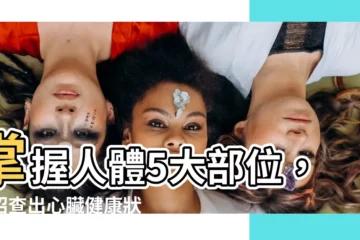 【人的心臟位置】掌握人體5大部位，妙招查出心臟健康狀況！