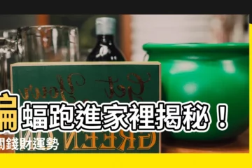 【蝙蝠跑進家裡代表什麼】蝙蝠跑進家裡揭秘！事關錢財運勢